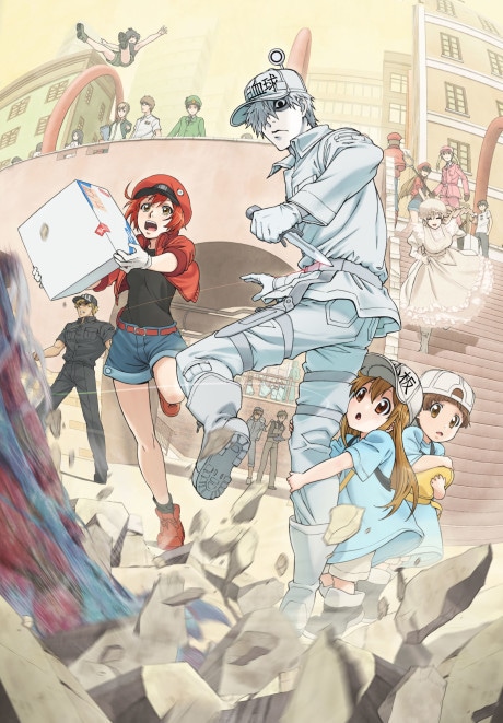 Cells at Work! cover art
