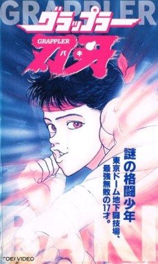 Grappler Baki: The Ultimate Fighter cover art