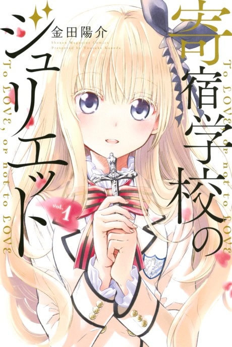 Boarding School Juliet cover art