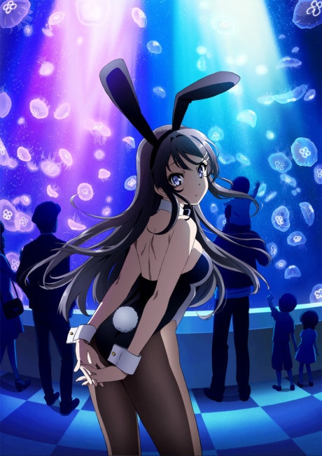 Rascal Does Not Dream of Bunny Girl Senpai cover art